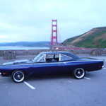 The light is good for a few shots of the roadrunner in the early morning.