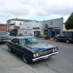 Point Reyes Station weekend. 2009 044