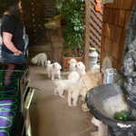 Ok time to split for home and Deanna says goodbye to her new friends.