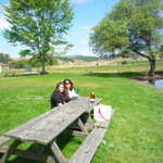 Point Reyes Station weekend. 2009 087