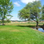 Point Reyes Station weekend. 2009 088