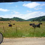 Point Reyes Station weekend. 2009 096