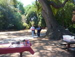 Highlight for Album: Stacy's graduation BBQ 2009
