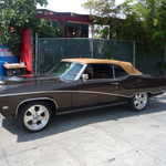 LAFF A LOTS 2009 013