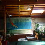 LAFF A LOTS 2009 097