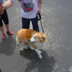 CAR-B-Q 2009 037