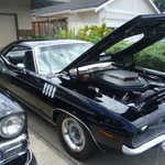 CAR-B-Q 2009 070