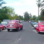 CAR-B-Q 2009 109
