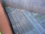 Highlight for Album: Let's rebuild the deck around the hot tub.
