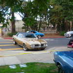 Cars in the Park 2009 015