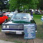 Cars in the Park 2009 024