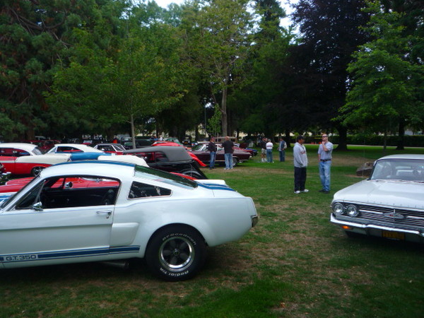 Cars in the Park 2009 027