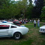 Cars in the Park 2009 027