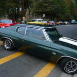 Cars in the Park 2009 032