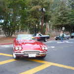 Cars in the Park 2009 034