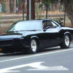 Cars in the Park 2009 036