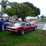 Cars in the Park 2009 039