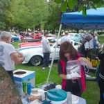 Cars in the Park 2009 045