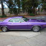 Cars in the Park 2009 053
