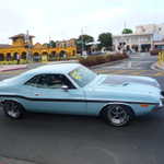 Cars in the Park 2009 060