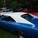 Cars in the Park 2009 065