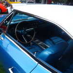 Cars in the Park 2009 066