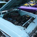 Cars in the Park 2009 071