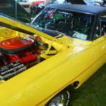 Cars in the Park 2009 085