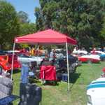 Cars in the Park 2009 109