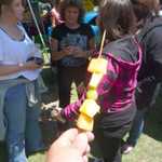 Frozen-Fruit-Kabobs.