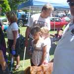 Cars in the Park 2009 121