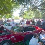 Cars in the Park 2009 133
