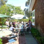 Jim and Thelma's BBQ 8-9-09 027