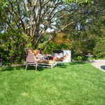 Jim and Thelma's BBQ 8-9-09 058