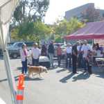 Car Crazy BBQ 2009 021