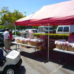 Car Crazy BBQ 2009 119