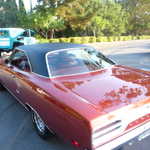 Car Crazy BBQ 2009 184