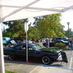 Car Crazy BBQ 2009 206