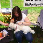 Car Crazy BBQ 2009 252