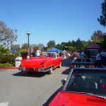 Car Crazy BBQ 2009 270