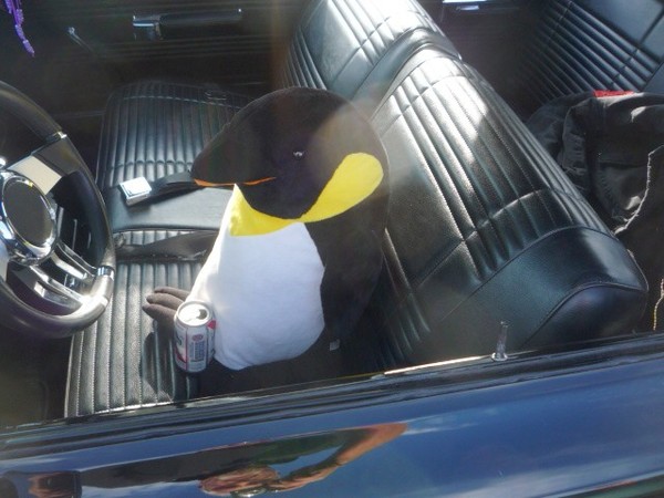 The Moparts penguin is too wasted to drive.