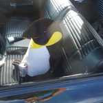 The Moparts penguin is too wasted to drive.