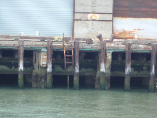 Nice ladder. You better hope your arms are pretty long if you fall in the bay!