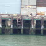 Nice ladder. You better hope your arms are pretty long if you fall in the bay!