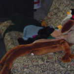 Friday night at Stu's 047