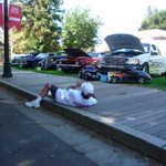 ASI car show 2009 084