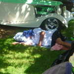 ASI car show 2009 118
