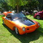 ASI car show 2009 155