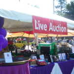 ASI car show 2009 175