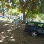 ASI car show 2009 189